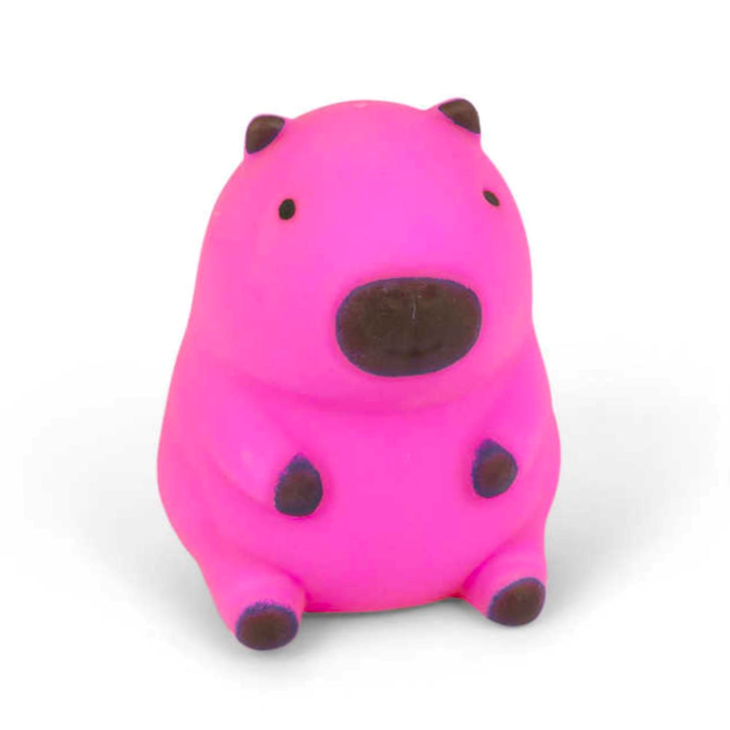 Capybara Squishy Sensory Fidget Toy Anti Stress ADHD