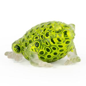 Beadz Alive Frog Sensory Stress Relief Fidget Toy