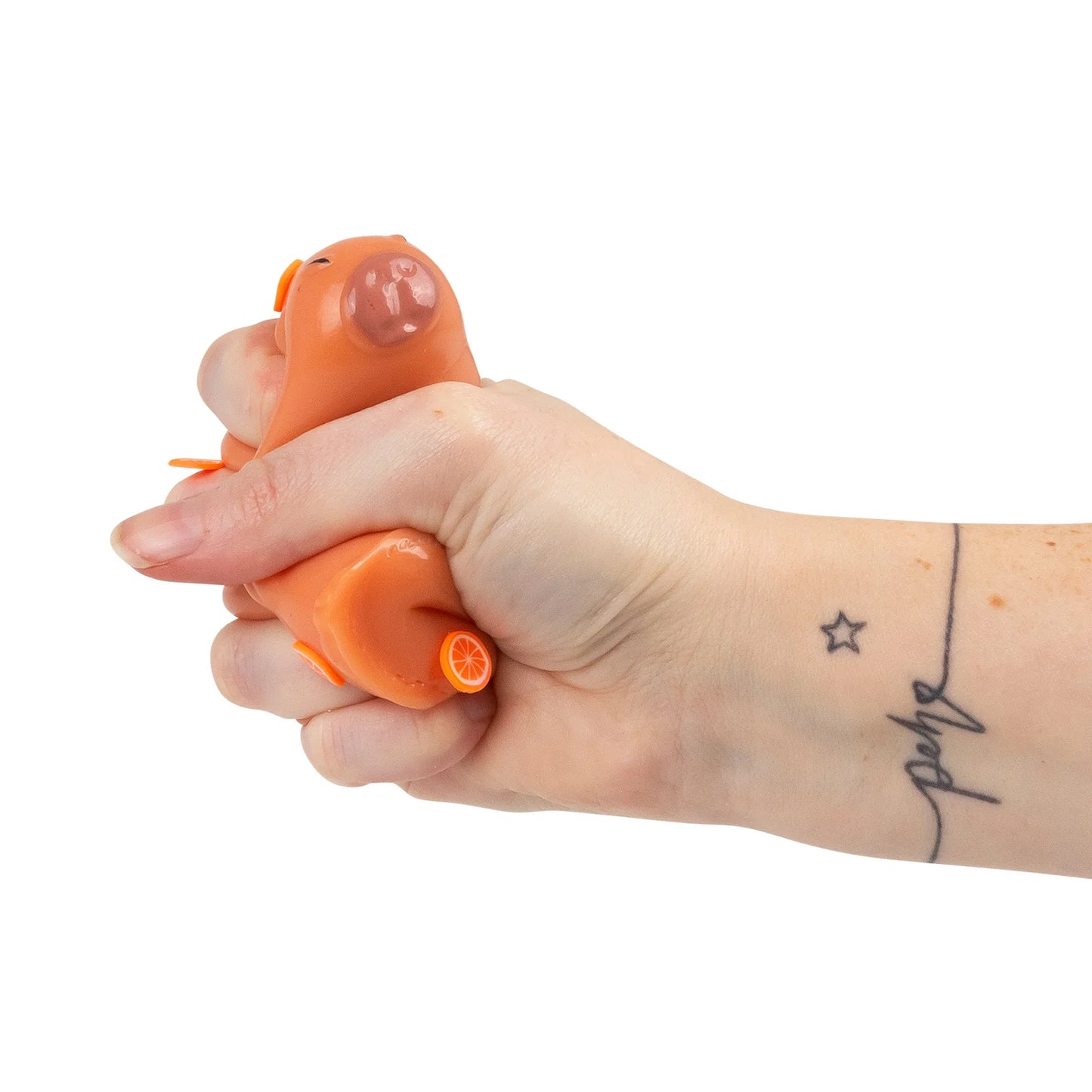 Scrunchems Sticky Squishy Animals