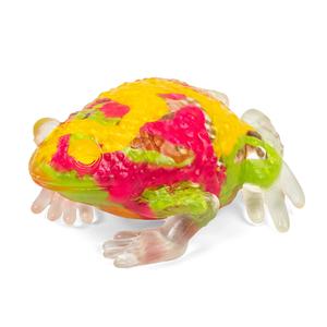 Frog Sugar Ball Translucent Maltose Squishy Fidget Toy For Stress Relief, Anxiety, ADHD & Autism - Inkerz Paint